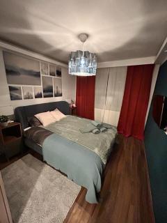 MEBA APARTMENTS - Braşov - 8