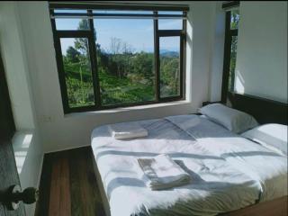 CARROT CREEK RESORT - Ooty - 4