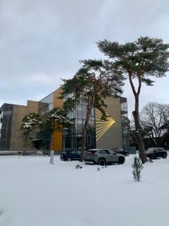 Arunes Apartments - Daukanto - 8