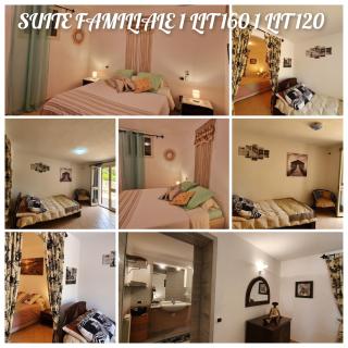 VILLA SABA - Olbia - 7