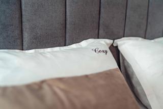 Cozy Lifestyle Apartments - City Center - Iaşi - 4