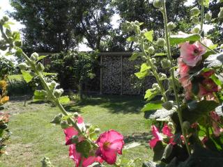 Appels en Peren Bed and Breakfast - 6