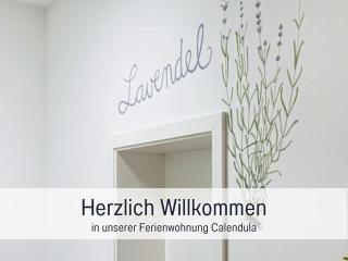 Bio Ferienhof Wichtelweide - Fewo Lavendel - Fehmarn - 4