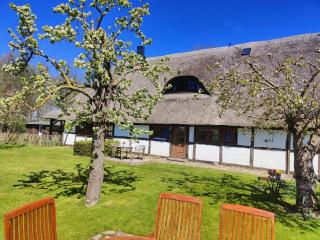 Reetmeer Apartments Ferienhaus, Ferienwohnungen und Ferienzimmer - Boiensdorf - 7