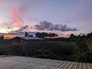 Ivy Coffee Farm - Garden House - Ðưc Trọng - 8