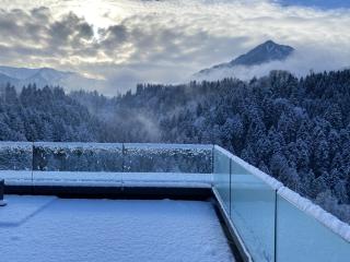 Wohnung Staufenblick und Wohnung Firstblick - Dornbirn - 6