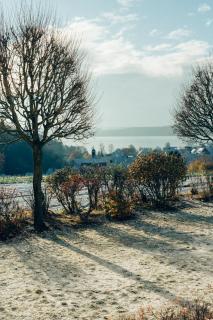 Hundefreundliche Ferienwohnungen Brombachsee - Enderndorf am See - 1