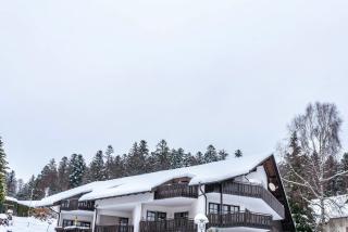 Köhlerstube Todtmoos - Todtmoos - 8