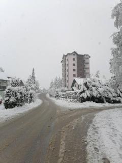 Cari Zlatibora 1 - Zlatibor - 6