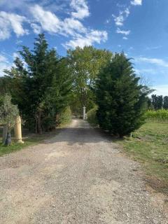 Petite maison en campagne - Mollégès - 8