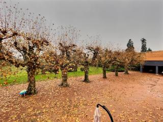 Les Platanes - Gorrevod - 9