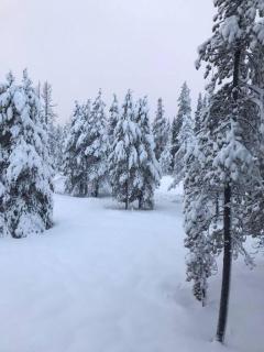 Modern Gambrel Cabin Near Ski Resorts - Truckee - 7