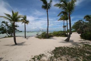 Pelican Landing - Islamorada - 8