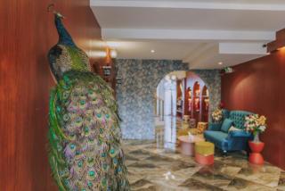 Ma Muan Budget & Boutique Chiang Mai - Chiang Mai - 6