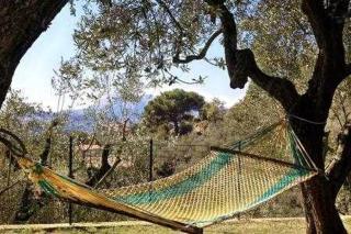 GOCCE VILLAS - Il Frantoio - Massa Lubrense - 1
