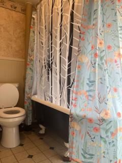 Intimate 1 Bedroom Apt by UHS - Binghamton - 7