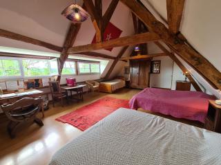Grande chambre calme avec vue, wifi et parking - Le Pêchereau - FR-1-591-559 - 0