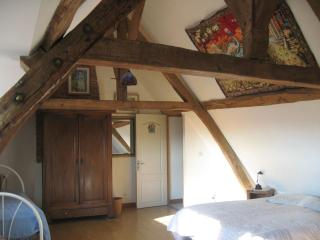 Grande chambre calme avec vue, wifi et parking - Le Pêchereau - FR-1-591-559 - 5