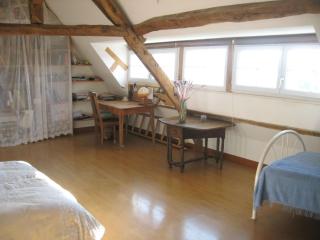 Grande chambre calme avec vue, wifi et parking - Le Pêchereau - FR-1-591-559 - 4