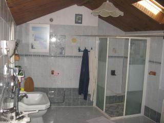 Grande chambre calme avec vue, wifi et parking - Le Pêchereau - FR-1-591-559 - 2