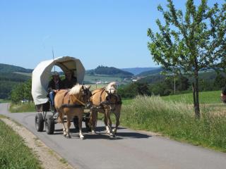 Urlaubspension 'Hohes Rott' und Apartmenthaus - 3