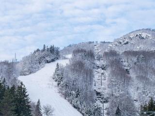 Hunter Mtn Slopeside Ski Resort w HotTub Heated Pool Sauna and Fireplace - Hunter - 2