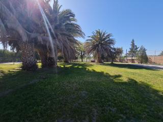 Quincho con gran parque en Viterbori - General Roca - 3