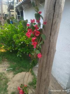 Techos amarillos 3 - 7