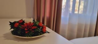 Comfy apartment- Sunny balcony - Tirana - 1