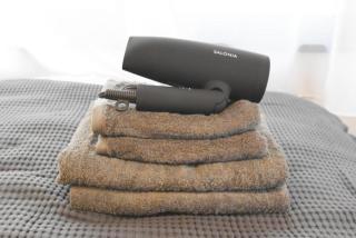 Ethos Ebisu 201 - Vacation STAY 09298v - 1