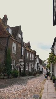 Rye Harbour Cosy Cottage - Rye - 6