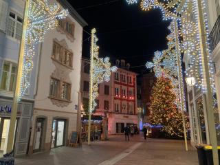 Gîte des Victoires - Mulhouse - 7