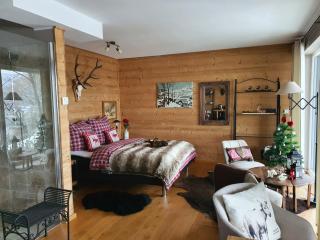 Romantic and Cosy Studio with Lake View in Meerfeld Eifel Region - 6