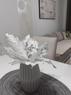 Apartman Pontis Okrug Gornji - 1