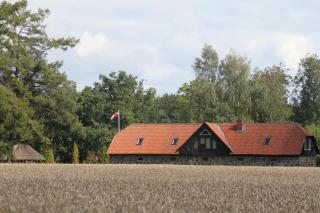 Denderi - Rubene - 0