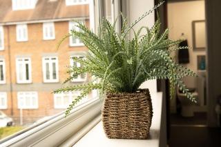 Cheam Village Self Contained Flat & studio - Cheam - 3