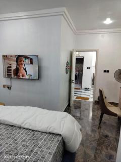 UCLAS Gorgeous Apartment - Port Harcourt - 6