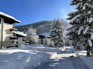 Jungfrau - 1
