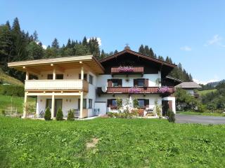 Blick auf den Rettenstein Top 1 - Kirchberg in Tirol - 7