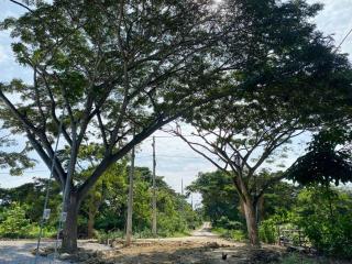 Estudio 1, Las Castañas - 3