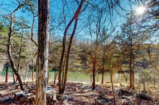 The Cove - Golden - 6