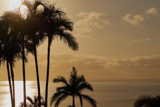 'The Edge' Unique Luxury Experience - Port Douglas - 6