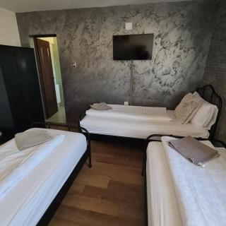 Vila Estera Therme Balotesti - Baloteşti - 1