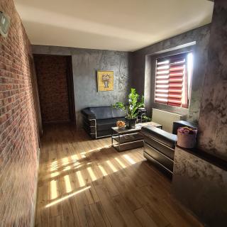 Vila Estera Therme Balotesti - 6