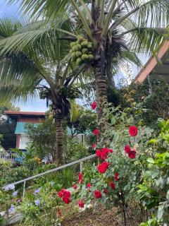 Villa Garita Inn - 4