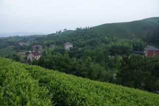 Anji Xiangchaju Country House - 8