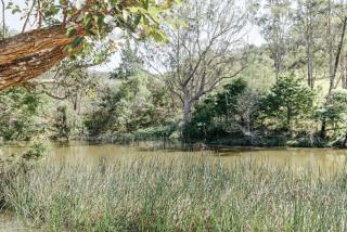 Nido, Kangaroo Valley - Upper Kangaroo River - 8