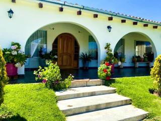 Fundo Alma Andina - 5