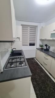 Apartament Violeta - Gura Humorului - 8