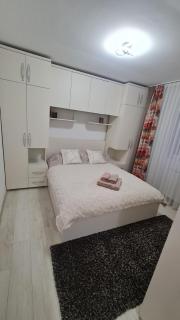 Apartament Violeta - Gura Humorului - 3